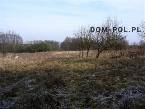 Działka inna na sprzedaż Stara Wieś-Kolonia 9 892m2 Foto 2