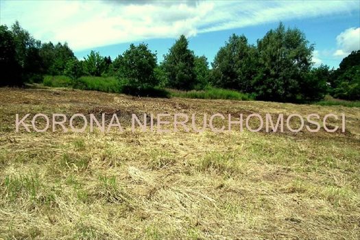 Działka budowlana na sprzedaż Rybnik 1 994m2 Foto 2