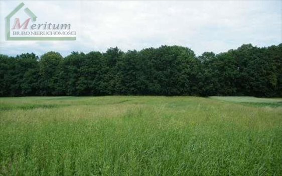 Działka budowlana na sprzedaż Nowy Sącz 1 000m2 Foto 1