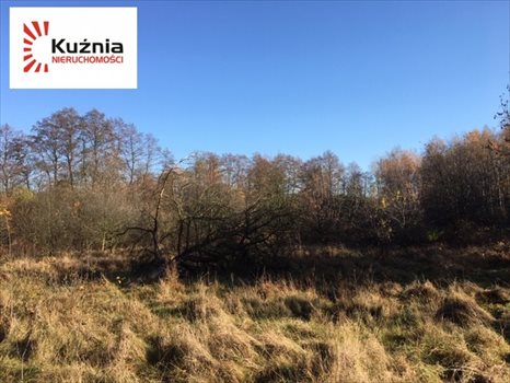 Działka budowlana na sprzedaż Siestrzeń, Łąkowa 2 064m2 Foto 8