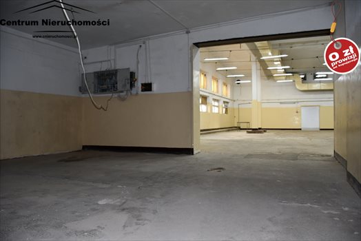 Lokal użytkowy na wynajem Świecie 1 600m2 Foto 4