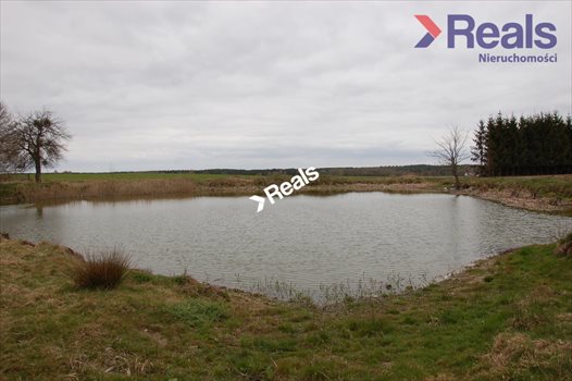 Dom na sprzedaż Drzonowo Wałeckie 106m2 Foto 8