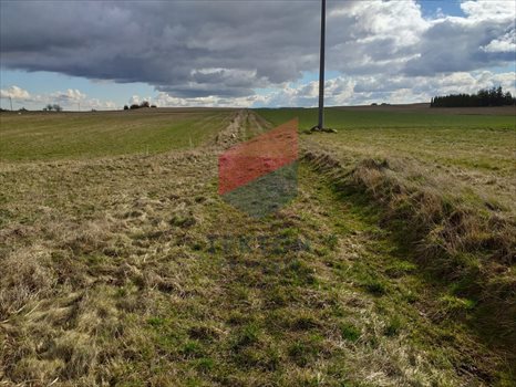Działka budowlana na sprzedaż Pręgowo, prof. Bronisława Bukowskiego 9 164m2 Foto 5