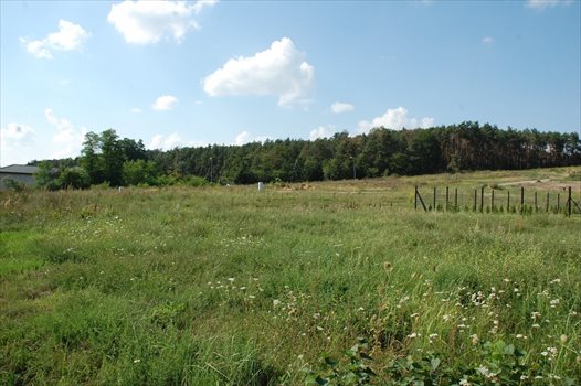 Dom na sprzedaż Dymaczewo Stare 100m2 Foto 9