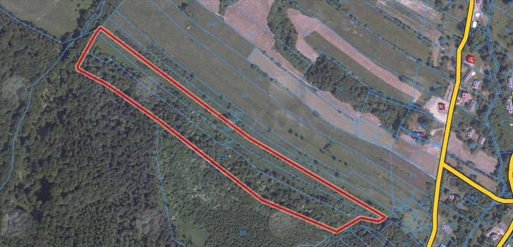 Działka rekreacyjna na sprzedaż Hołuczków 57 900m2 Foto 6