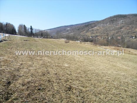 Działka budowlana na sprzedaż Dobra 2 900m2 Foto 4