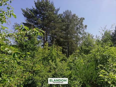 Działka budowlana na sprzedaż Józefów 811m2 Foto 9