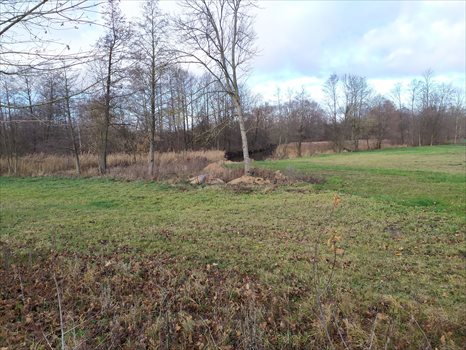 Działka inna na sprzedaż Rajgród 3 000m2 Foto 3