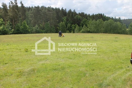 Działka budowlana na sprzedaż Lubowidz 955m2 Foto 6