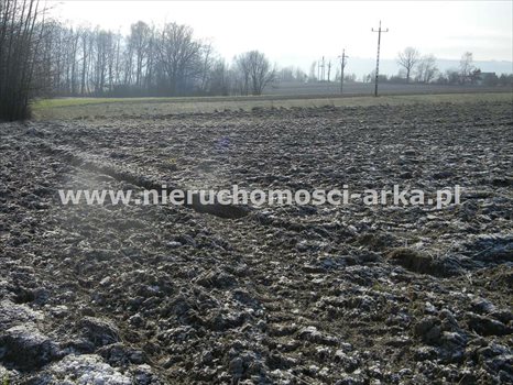 Działka budowlana na sprzedaż Męcina 5 800m2 Foto 3