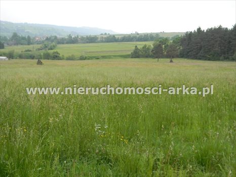 Działka budowlana na sprzedaż Kasina Wielka 2 325m2 Foto 1