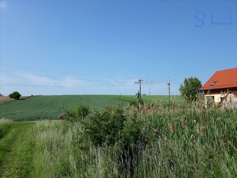 Działka budowlana na sprzedaż Węgrzce 2 600m2 Foto 9