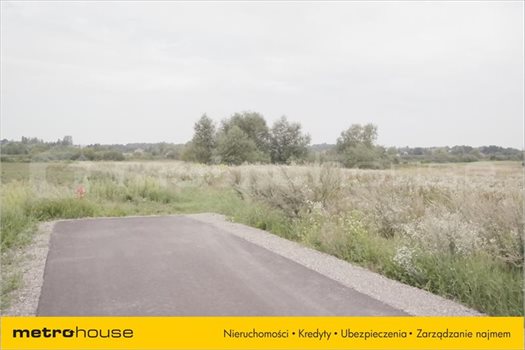 Działka inna na sprzedaż Pokrówka, Chełm 1 712m2 Foto 6