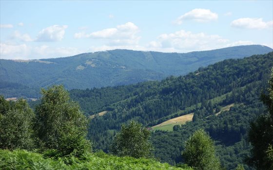 Działka budowlana na sprzedaż Brenna, ul. Ogrodowa 25 300m2 Foto 3