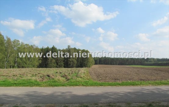 Działka budowlana na sprzedaż Warblewo 5 500m2 Foto 6