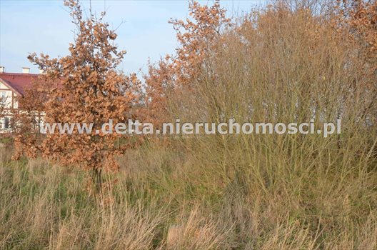 Działka budowlana na sprzedaż Pieńkowo 665m2 Foto 7
