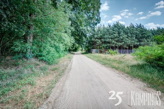 Działka rolna na sprzedaż Łazy, Kampinos, oferta 1649 10 000m2 Foto 3