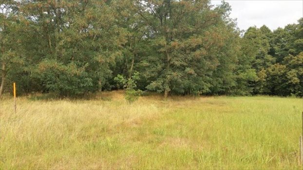Działka inna na sprzedaż Ostrowo 2 499m2 Foto 3
