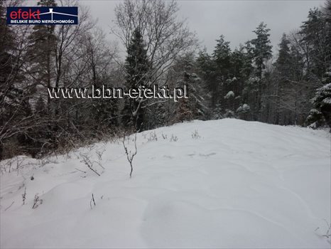 Działka rekreacyjna na sprzedaż Międzybrodzie Żywieckie 3 600m2 Foto 9