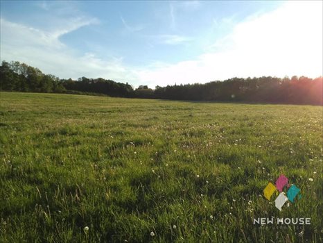 Działka budowlana na sprzedaż Nikielkowo, Dębowa 1 260m2 Foto 10