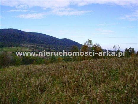 Działka budowlana na sprzedaż Skrzydlna 3 300m2 Foto 2