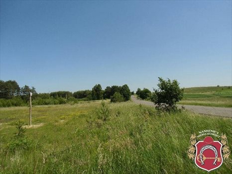 Działka komercyjna na sprzedaż Zakrzewo 14 600m2 Foto 5