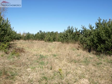 Działka inna na sprzedaż Starogard Gdański, Rokocin, x 980m2 Foto 8