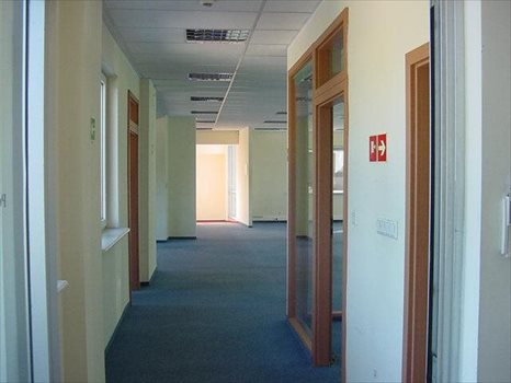Lokal użytkowy na wynajem Sopot, Dolny, 3 Maja 520m2 Foto 2