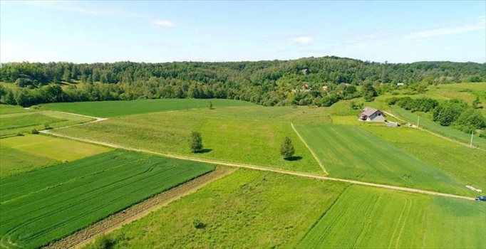 Działka budowlana na sprzedaż Nielepice 2 300m2 Foto 6