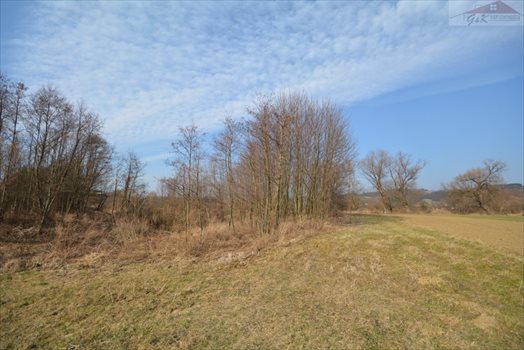 Działka rekreacyjna na sprzedaż Wara 2 955m2 Foto 9