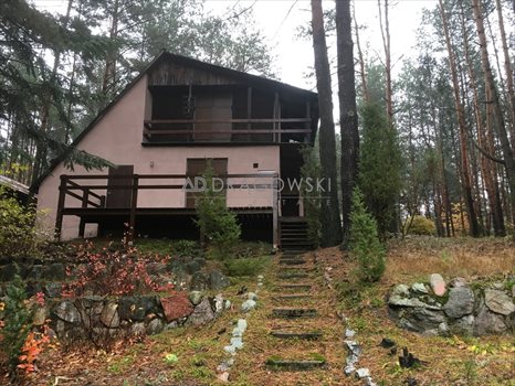 Działka rekreacyjna na sprzedaż Wólka Mlęcka 4 500m2 Foto 4