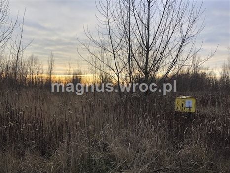 Działka budowlana na sprzedaż Siechnice 2 772m2 Foto 8