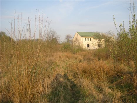 Działka rolna na sprzedaż Bierkowo, Leśna 3 241m2 Foto 3