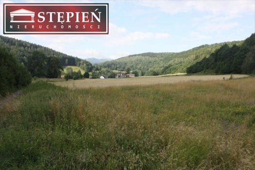 Działka inna na sprzedaż Jelenia Góra 17 625m2 Foto 3
