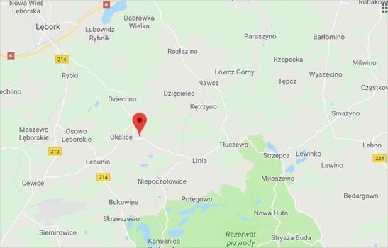 Działka komercyjna na sprzedaż Zakrzewo 18 000m2 Foto 2