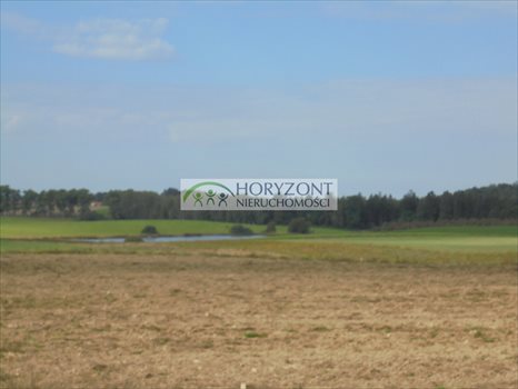 Działka budowlana na sprzedaż Małkowo 1 300m2 Foto 5