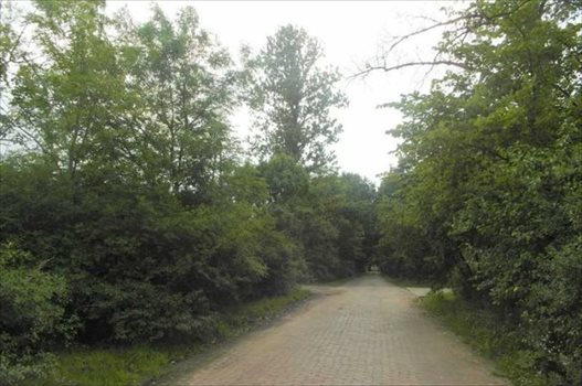 Działka inwestycyjna pod dzierżawę Warszawa, Wilanów, Wilanów, Pałacowa 5 600m2 Foto 3