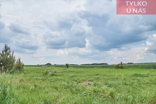 Działka budowlana na sprzedaż Radzewo 1 849m2 Foto 6