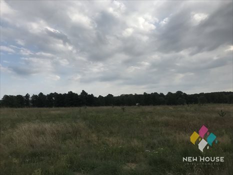 Działka budowlana na sprzedaż Międzylesie 1 473m2 Foto 10