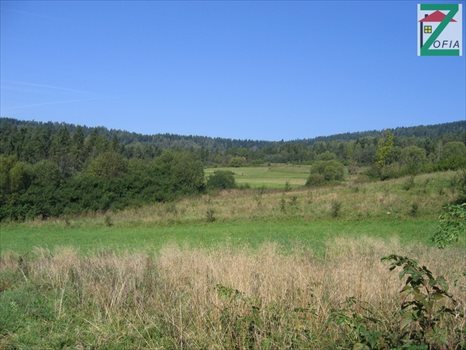 Działka rolna na sprzedaż RABKA-ZDRÓJ 20 692m2 Foto 3
