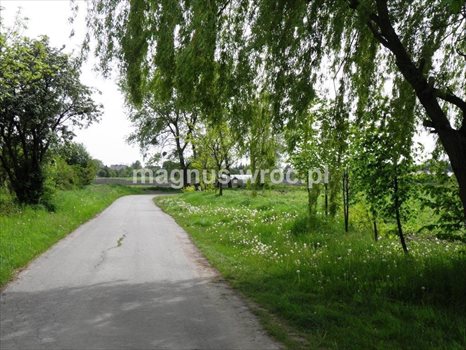 Działka budowlana na sprzedaż Domasław 1 712m2 Foto 3