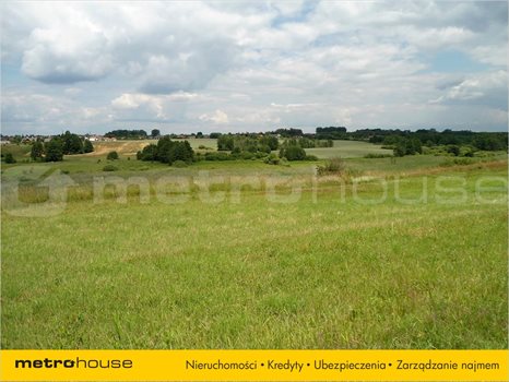 Działka inna na sprzedaż Jankowo, Pobiedziska 27 000m2 Foto 4