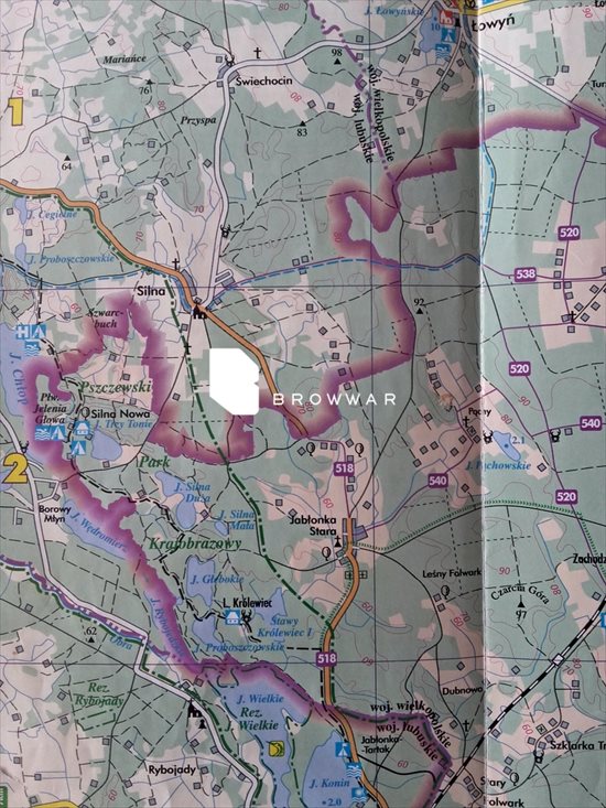 Działka budowlana na sprzedaż Silna 2 969m2 Foto 11