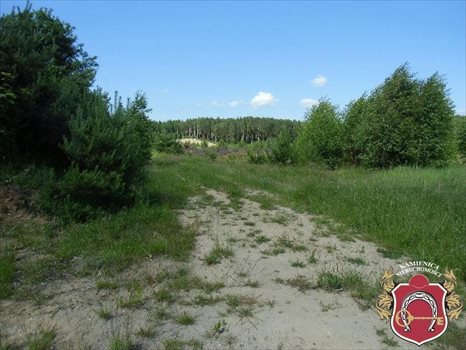 Działka komercyjna na sprzedaż Zakrzewo 14 600m2 Foto 7