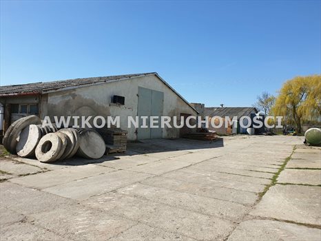 Lokal użytkowy na sprzedaż Teresin 6 975m2 Foto 9