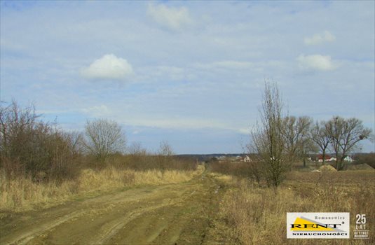 Działka budowlana na sprzedaż Mierzyn 1 917m2 Foto 4