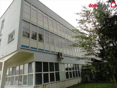 Lokal użytkowy na sprzedaż Toruń 5 600m2 Foto 2