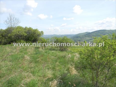 Działka budowlana na sprzedaż Limanowa 2 200m2 Foto 6