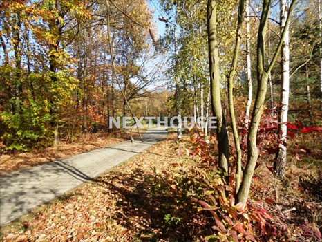 Działka budowlana na sprzedaż Rybnik 2 382m2 Foto 6