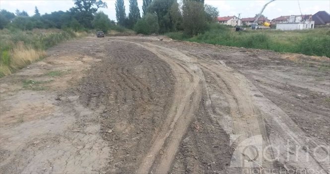 Działka budowlana na sprzedaż Mierzyn 1 500m2 Foto 3